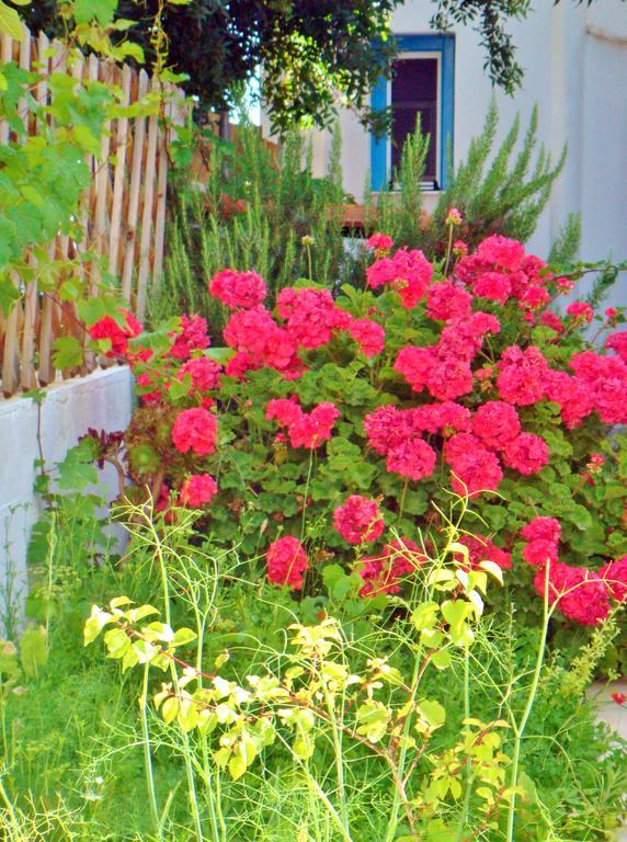Dream Island Hotel Livadia  部屋 写真